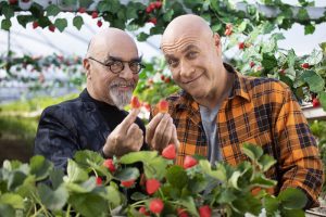 פרסומת של מזרחי טפחות\צילום יח"צ