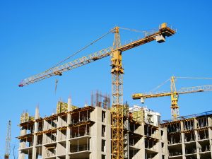 תמונה: שאטרסטוק