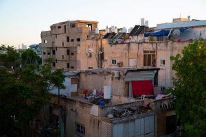 תמונה: שאטרסטוק 