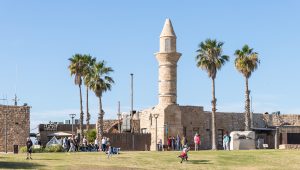 תמונה:שאטרסטוק