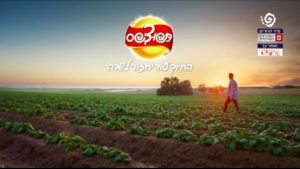 צילום מסך: פרסומת לתפוציפס