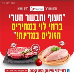 פרסומת לרמי לוי- צילום מסך